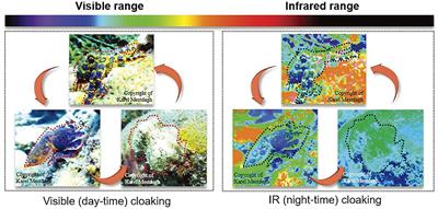 Research Progress of Bionic Adaptive Camouflage Materials